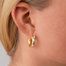 Gold plated earrings  - Anni Lu