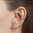 Ferdinand ear jewel - April Please