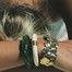 Katt bracelet - Aurélie Bidermann