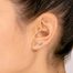 Strip Earrings - Ginette NY