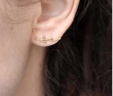 Puces d'oreilles Mélia