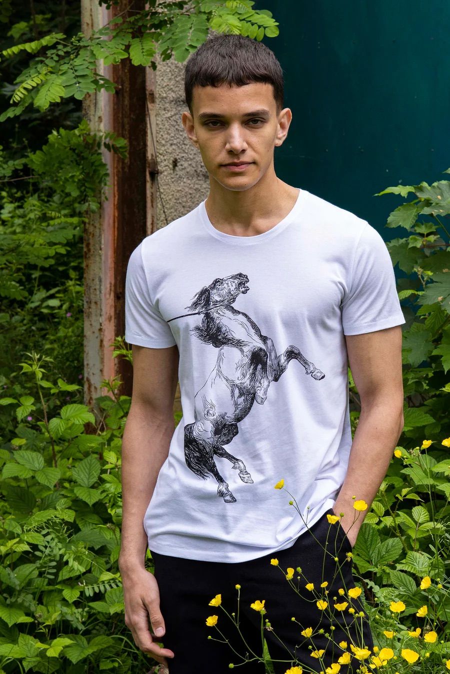 T-Shirt mit Pferdeprint - Misericordia