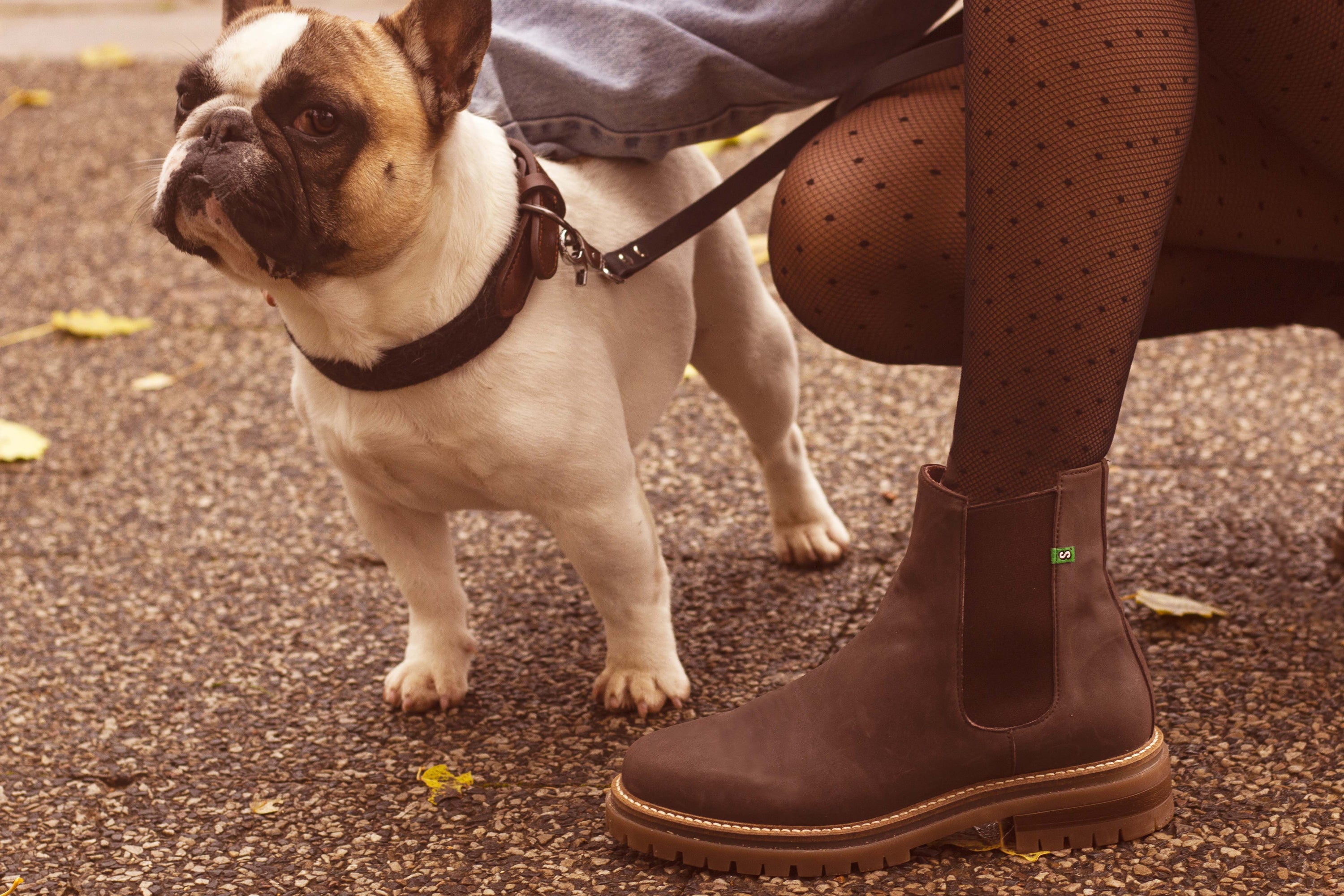 Chelsea boots en cuir vegan Jerry - Supergreen