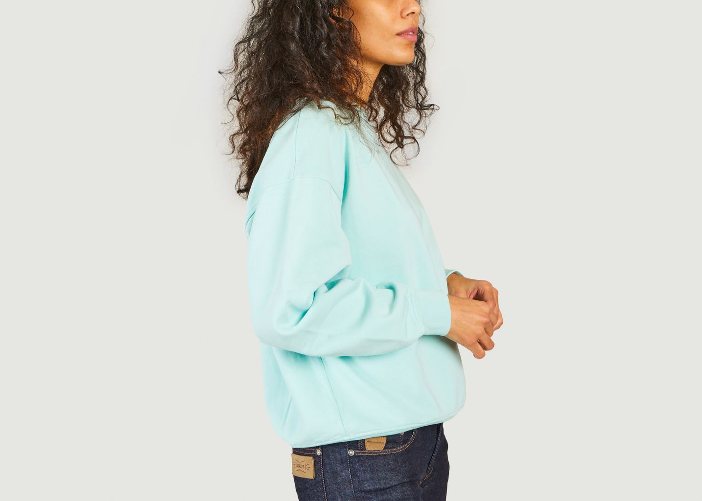 Sweatshirt en coton bio - Colorful Standard