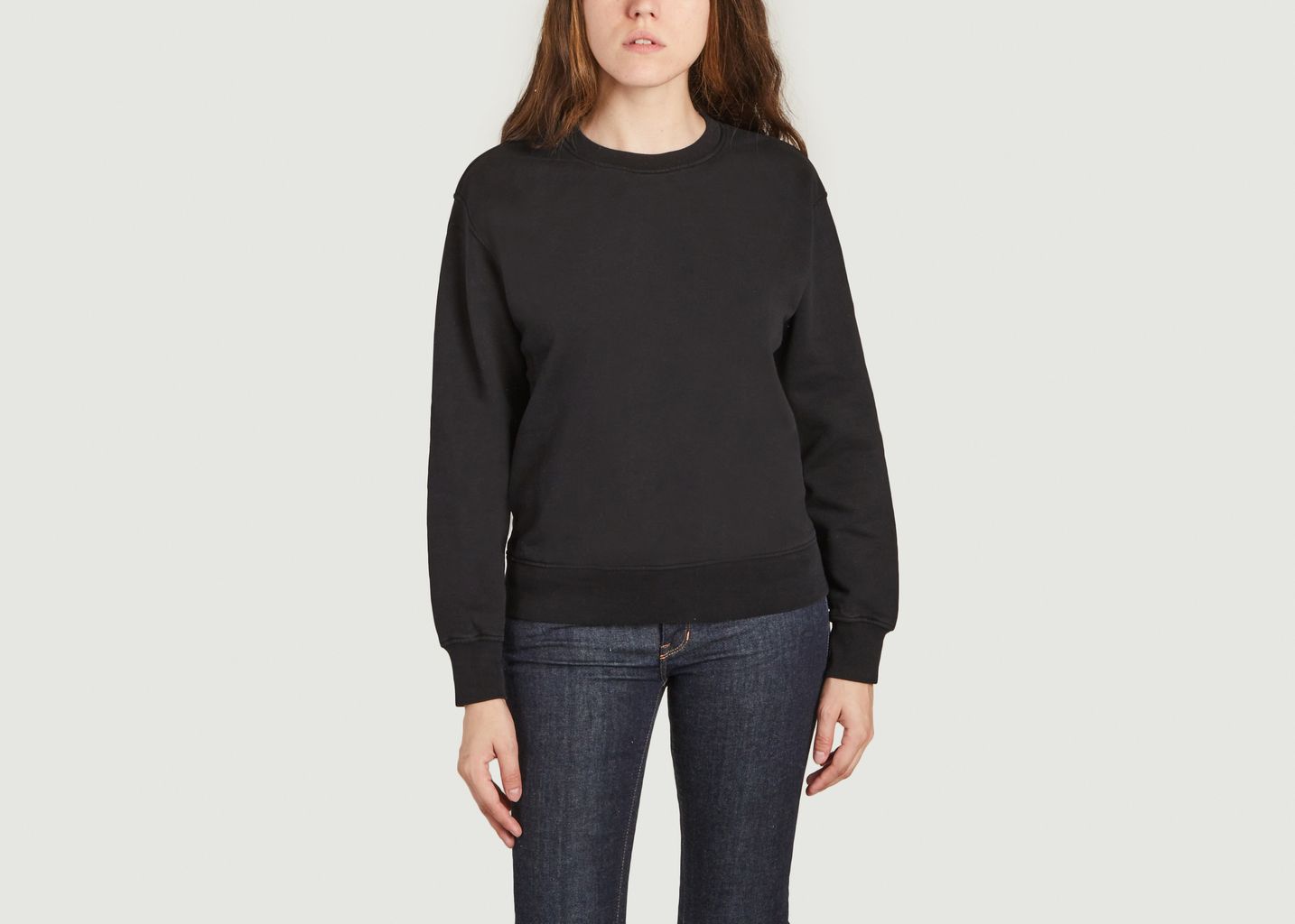 Klassischer Pullover aus Bio-Baumwolle - Colorful Standard