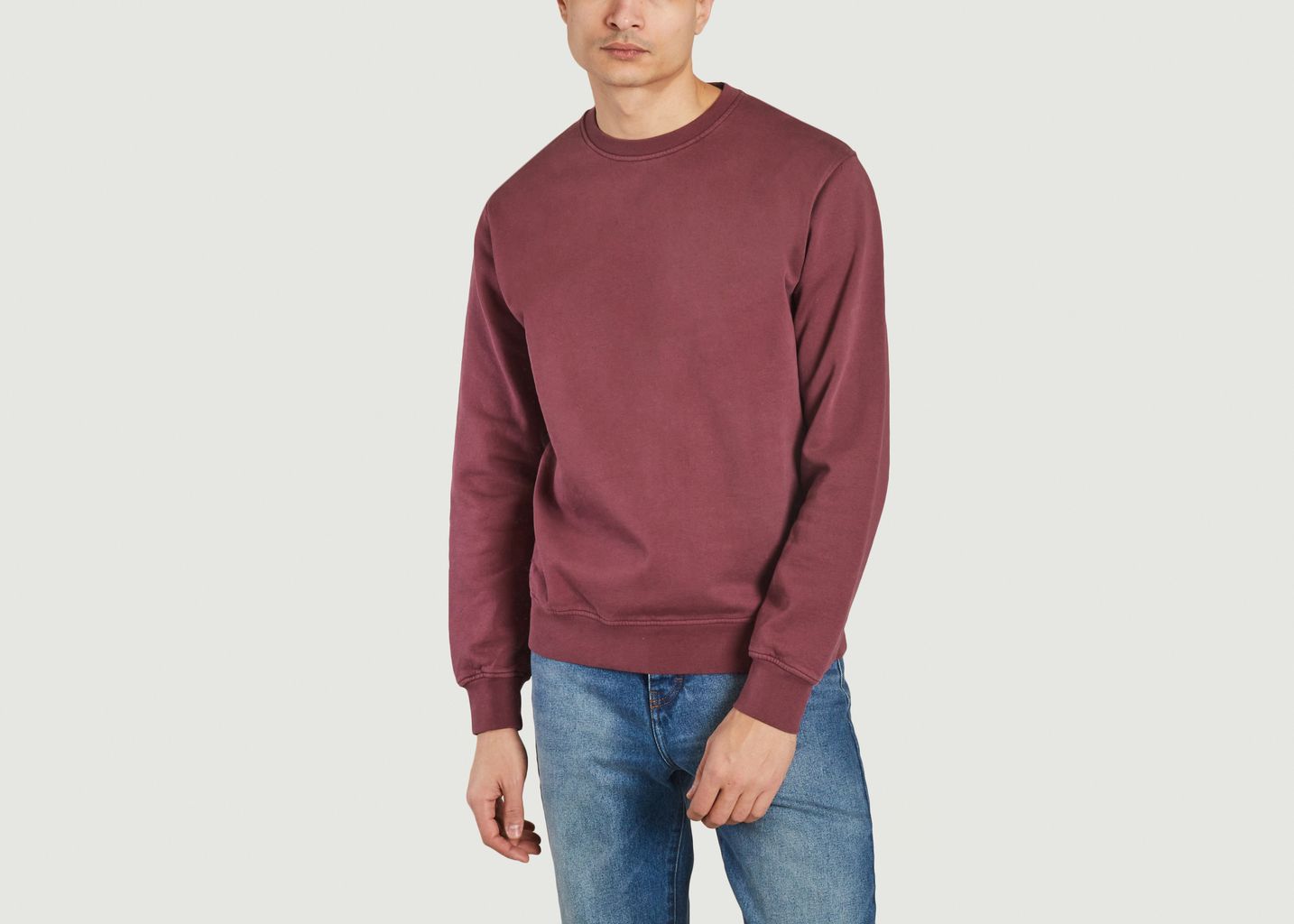 Sweatshirt Organic - Colorful Standard