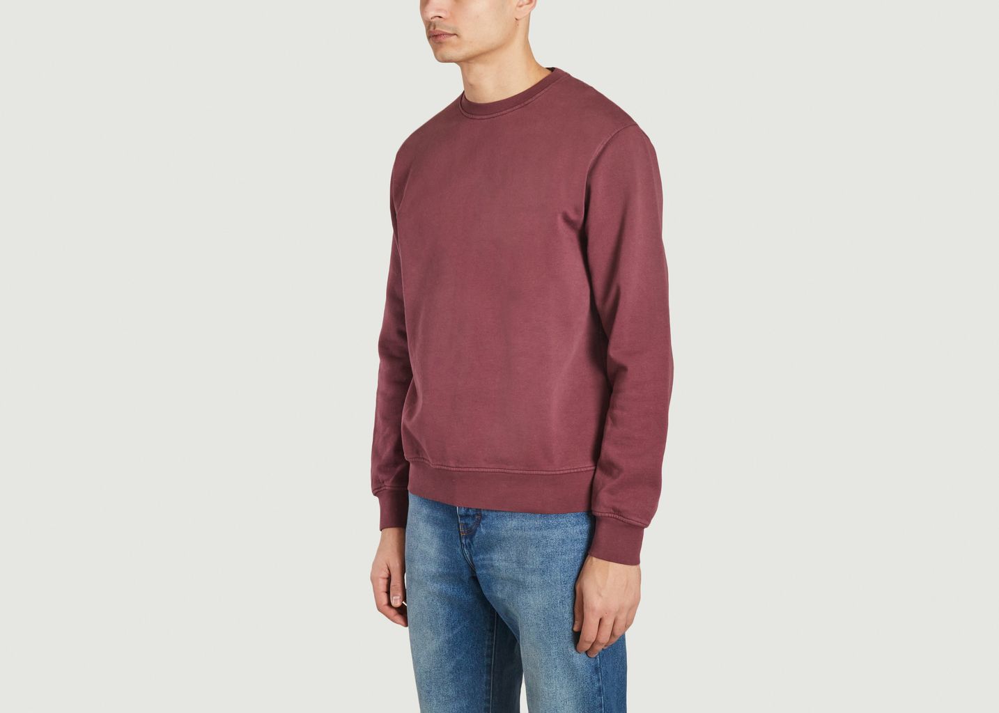 Organic Sweatshirt - Colorful Standard