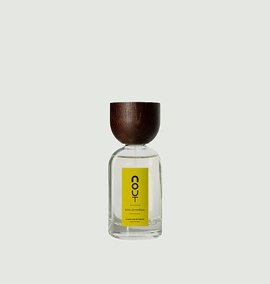 Parfum Terre aromatique 100 ml