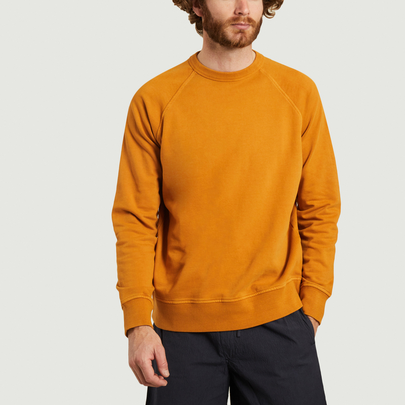 yellow colour sweater