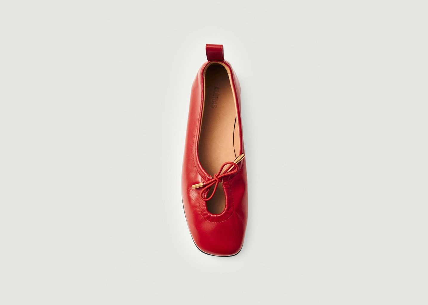 Ballerines Rosalind en cuir  - Alohas