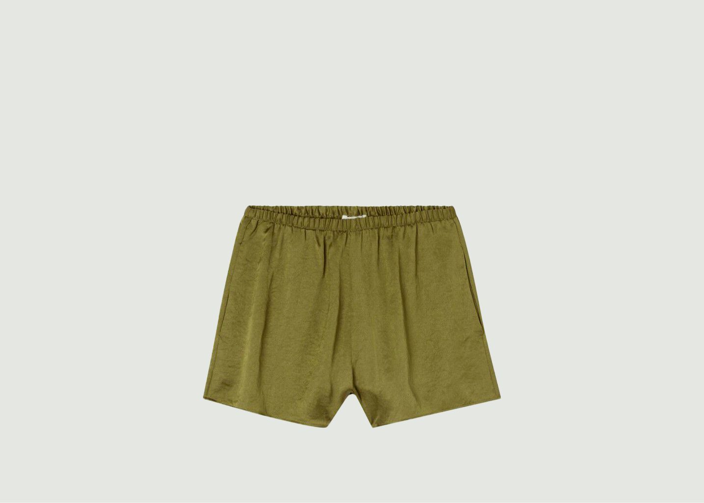 Wildland Shorts - American Vintage