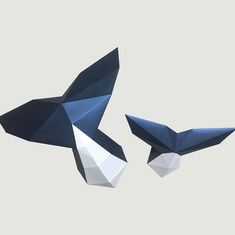 Whale Tail Paper Kit - Assembli