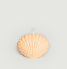 Sea shell candle Blossom Soul