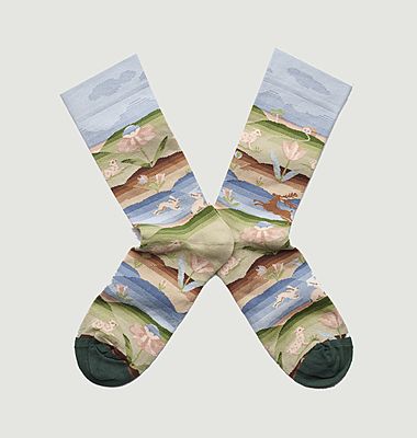 Paysage Ciel pattern socks