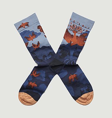 Phoenix orage pattern socks