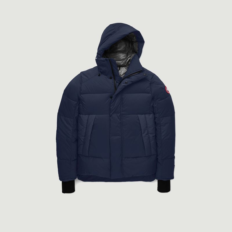 the north face sierra down jacket