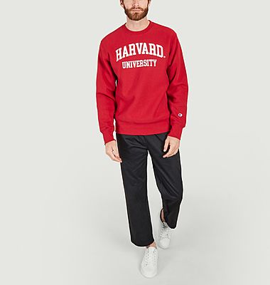 University sweatshirt