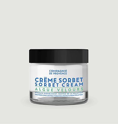 Velvet Algae Sorbet Face Cream