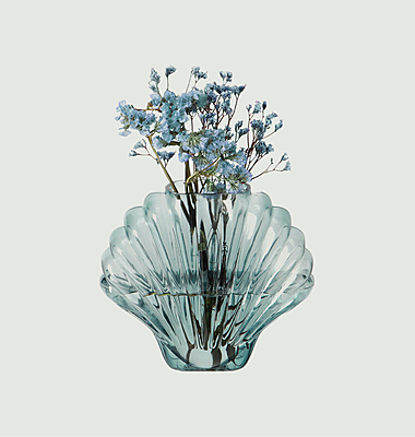 Vase coquillage