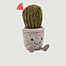 Alberner Sukkulenten-Kaktus - Jellycat