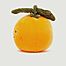 Fabelhafte Frucht Orange Plüsch - Jellycat