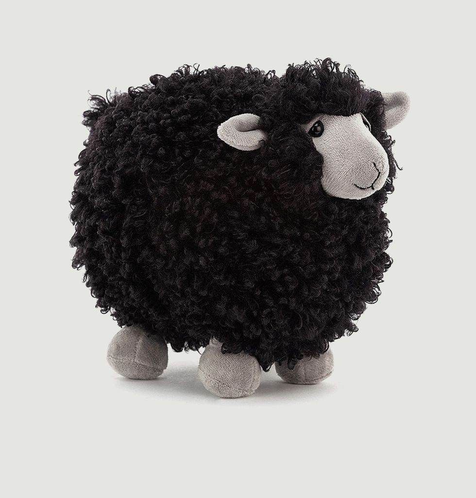 rolbie sheep