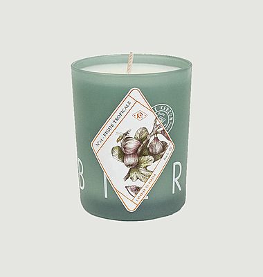Tropical Fig Candle