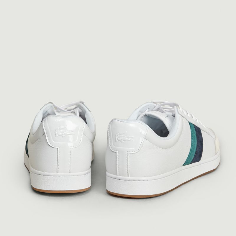 lacoste carnaby ace