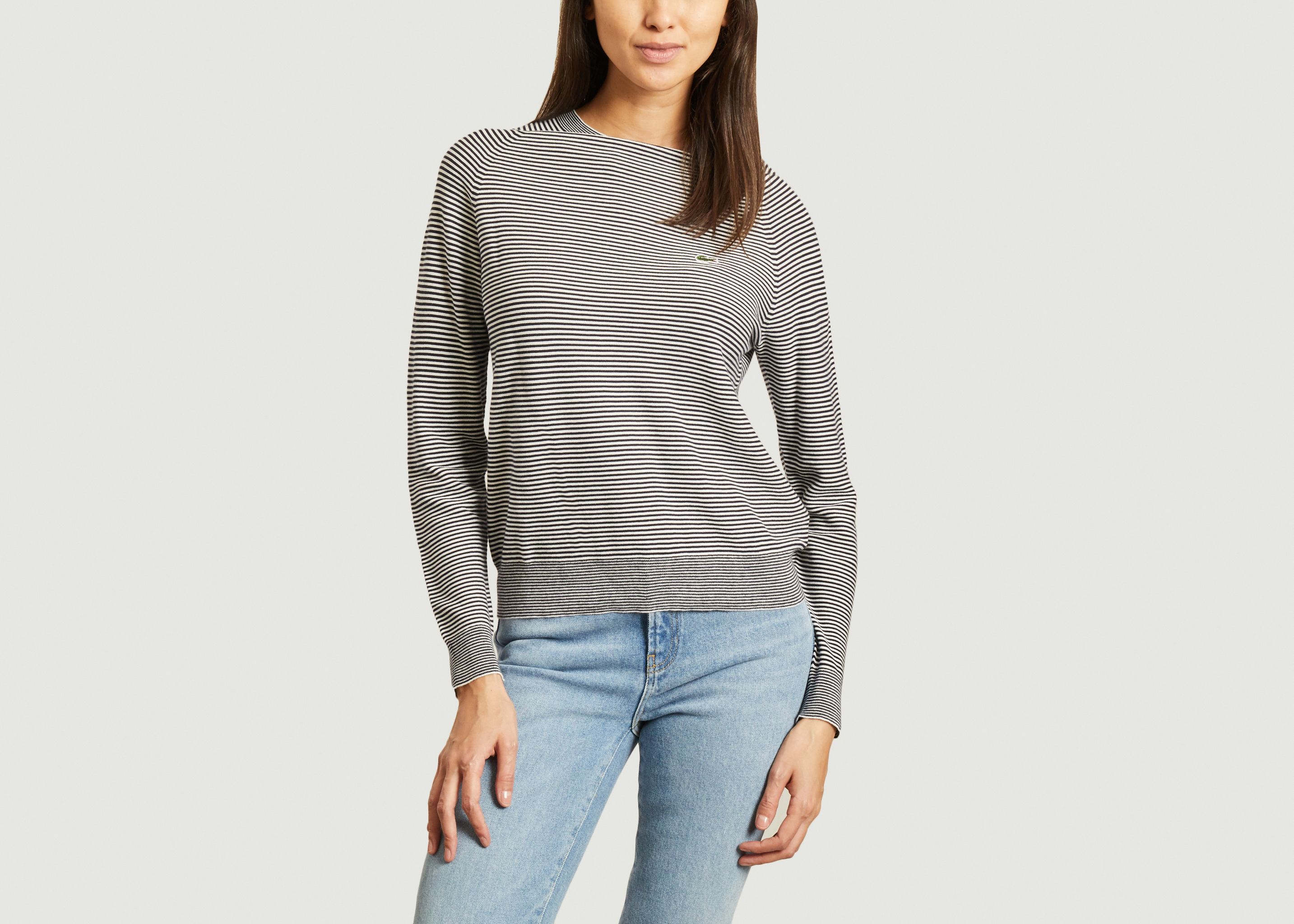 lacoste cotton sweater