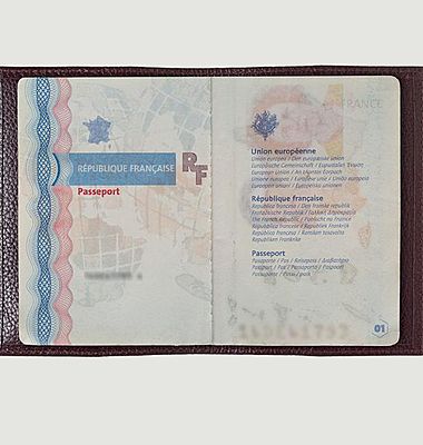 Louis Passport holder