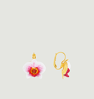Boucles d'oreilles Dormeuses Rêves d'Orchidées