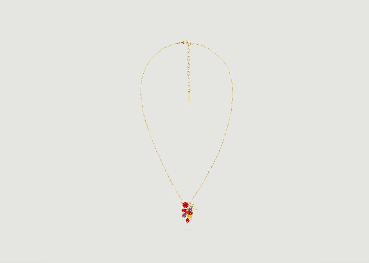 Thin necklace with grapes and vine leaf pendant - Les Néréides