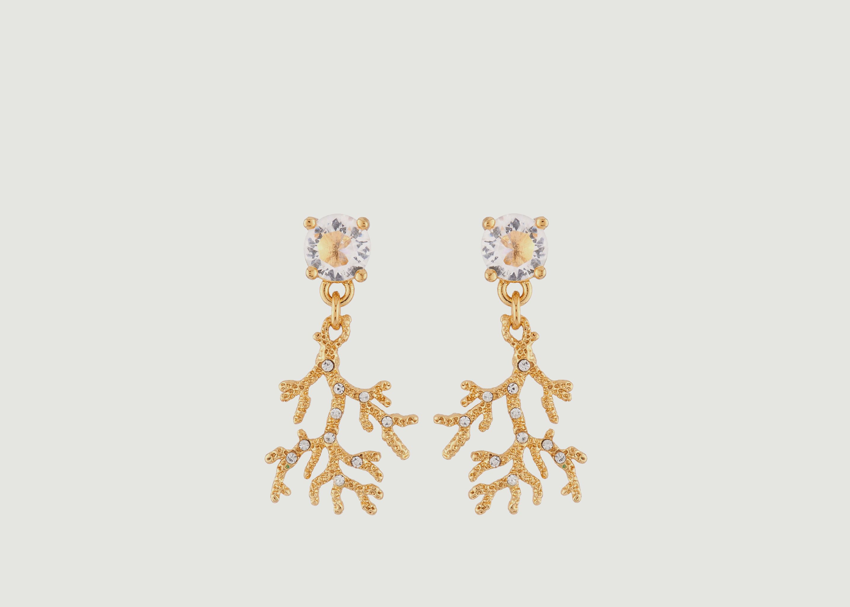 Coral Earrings - Les Néréides