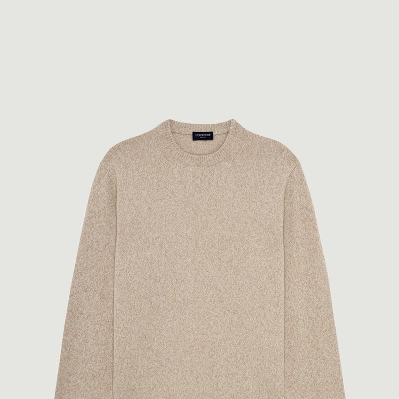 Geelong wool thick round-neck jumper - L'Exception Paris