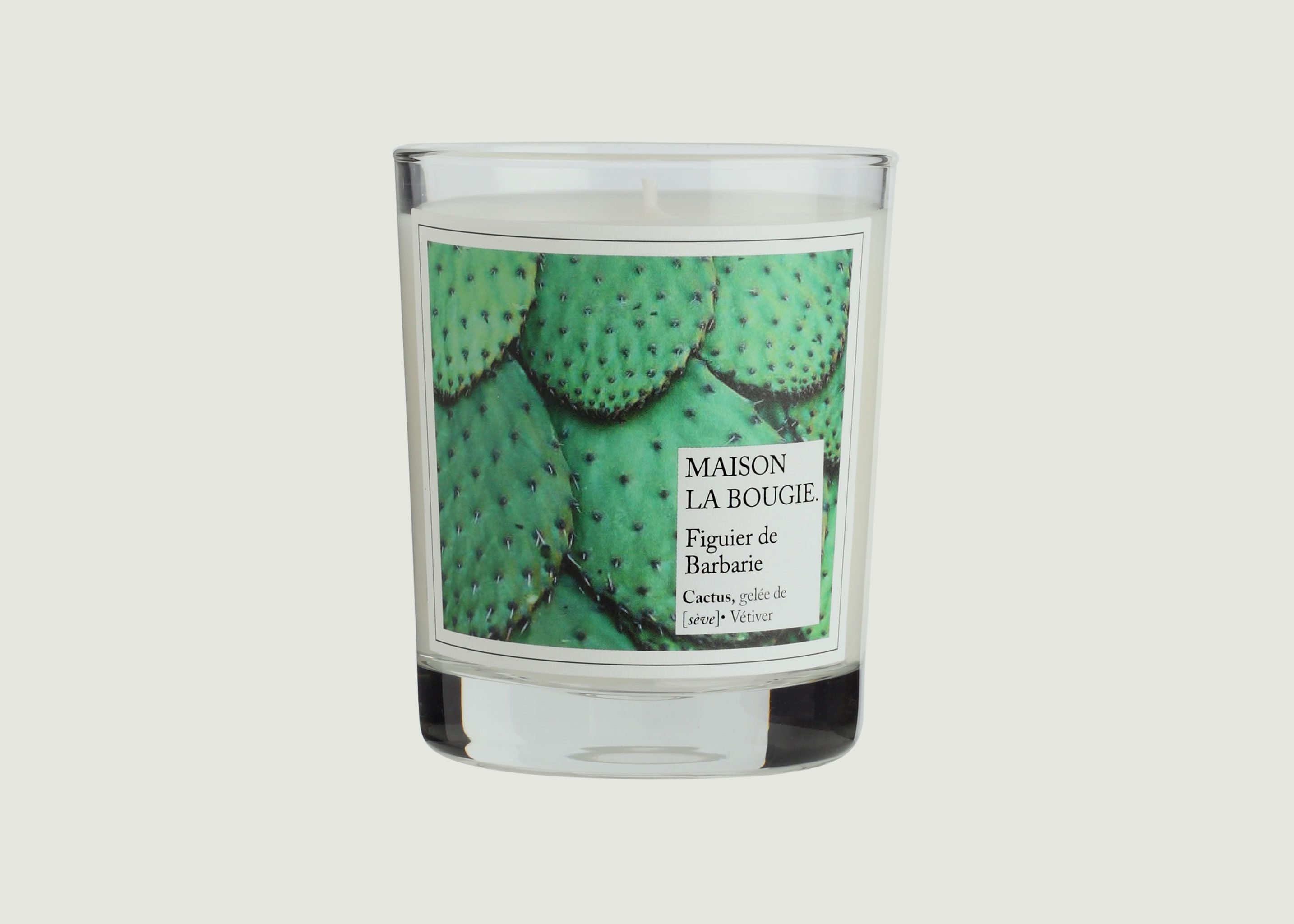 Cactus Candle - Maison La Bougie