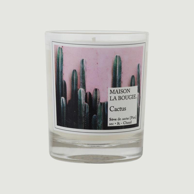 Bougie Cactus - Maison La Bougie