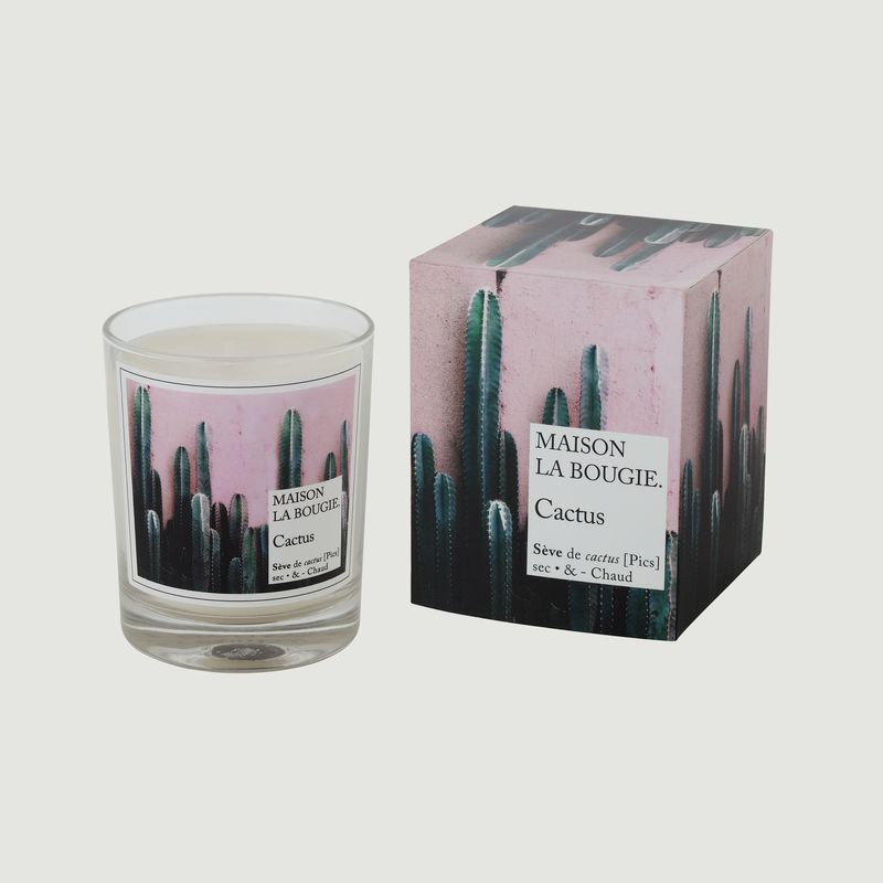 Bougie Cactus - Maison La Bougie