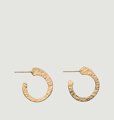 Aeolus earrings