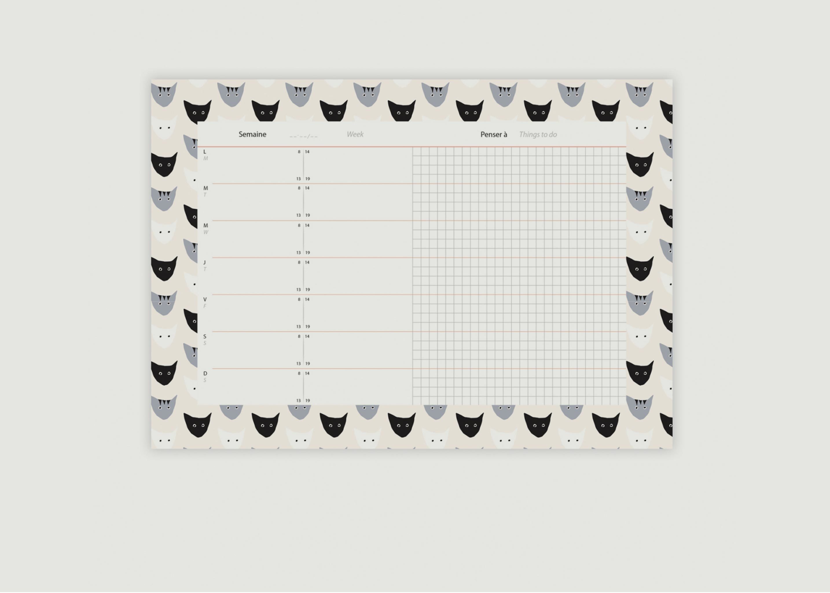 Katze Tisch-/Wandkalender - Monsieur Papier