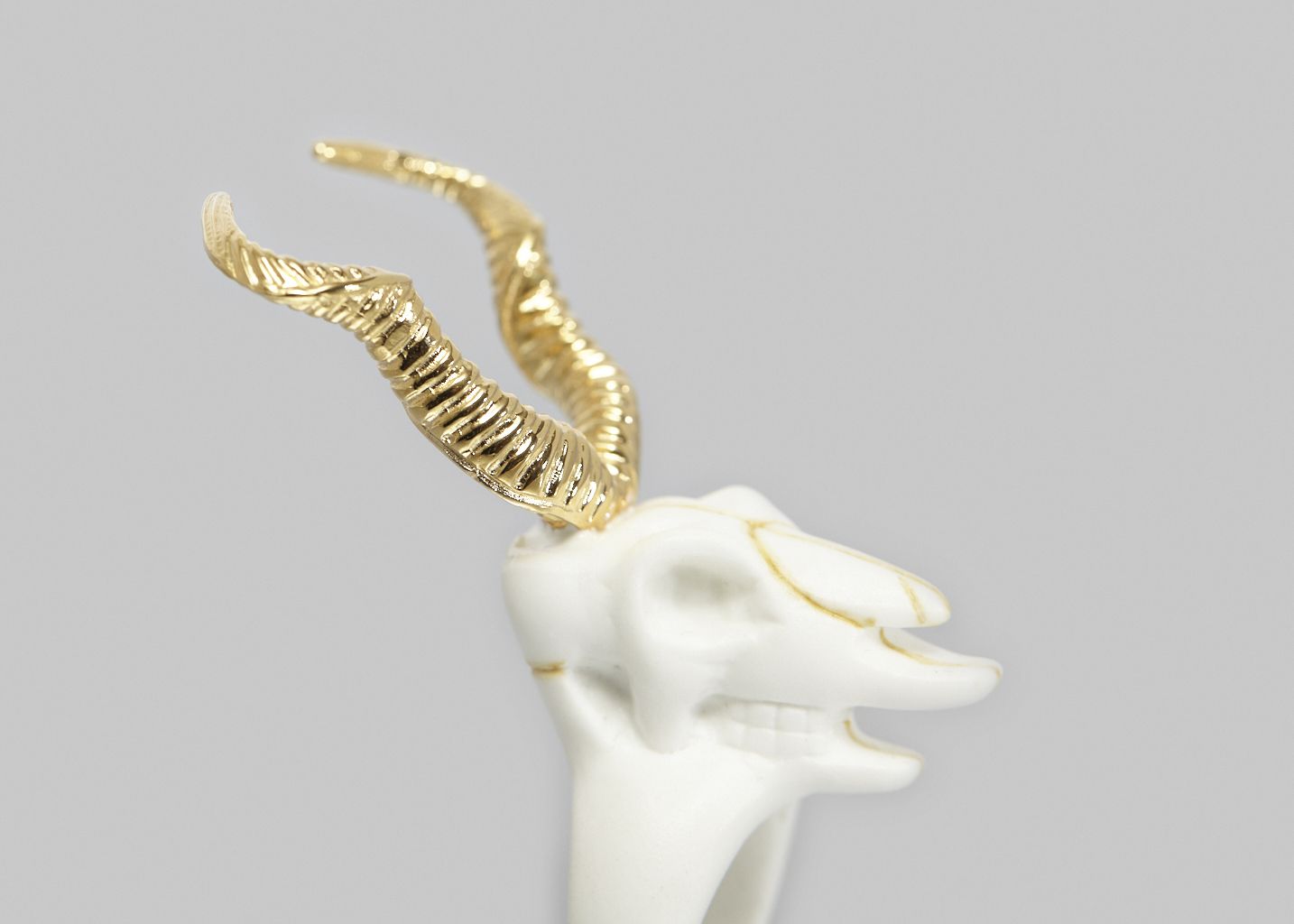 Kudu Skull Ring - Nach