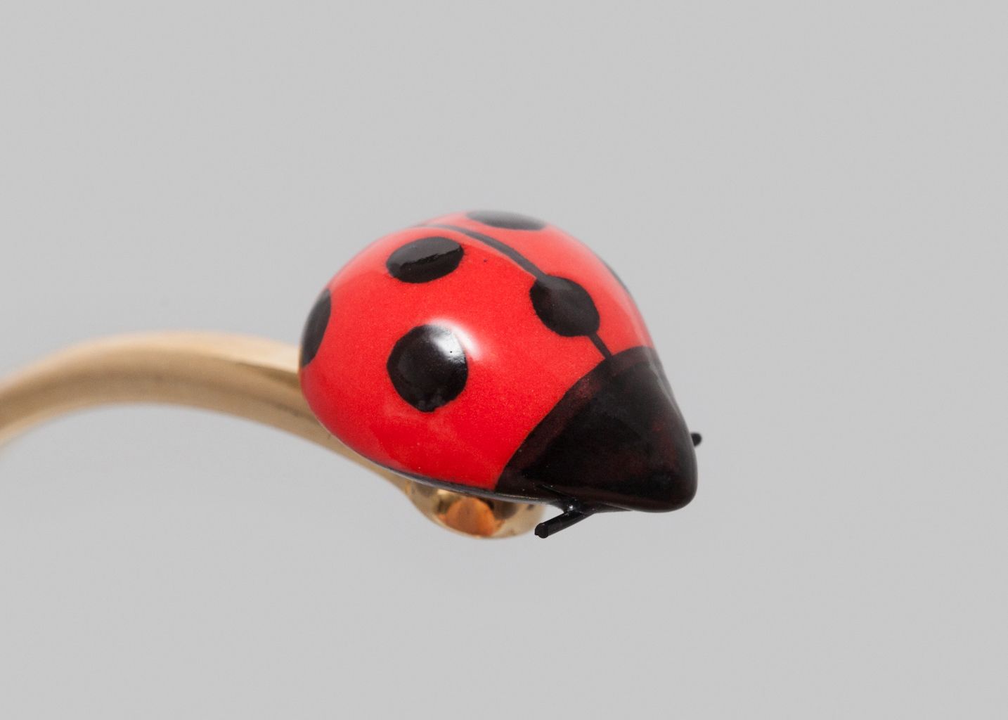 Bracelet Coccinelle - Nach