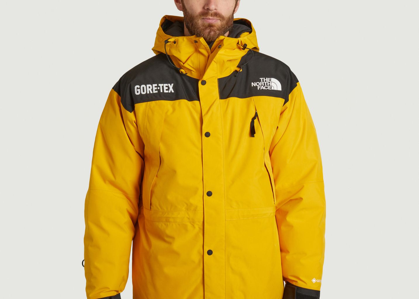 NORTH FACE GORE-TEX NP10990 (Lsize) - マウンテンパーカー