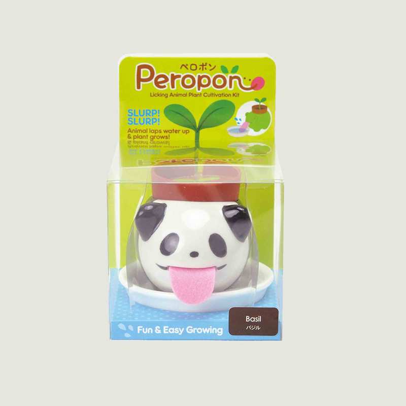 Panda Peropon Plant - Noted