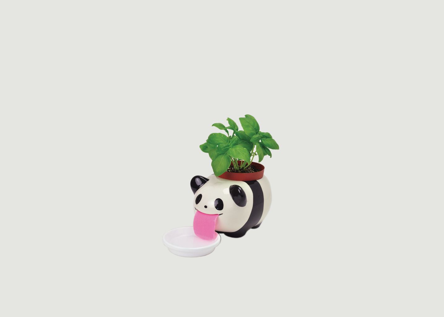 Topf Peropon Papa Panda Basilikum - Noted