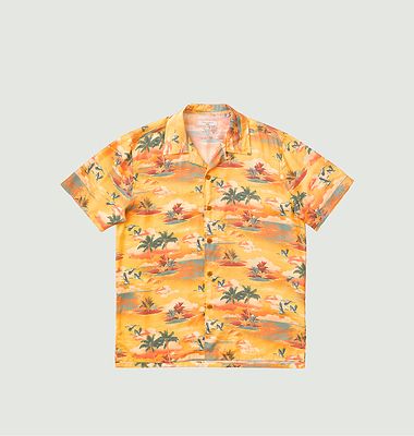 Hawaii shirt