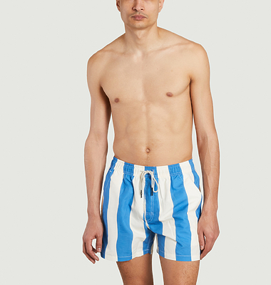 Waver Striped Swim Shorts