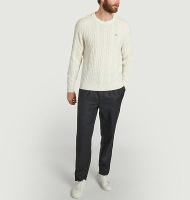 Double-pleated wool pants