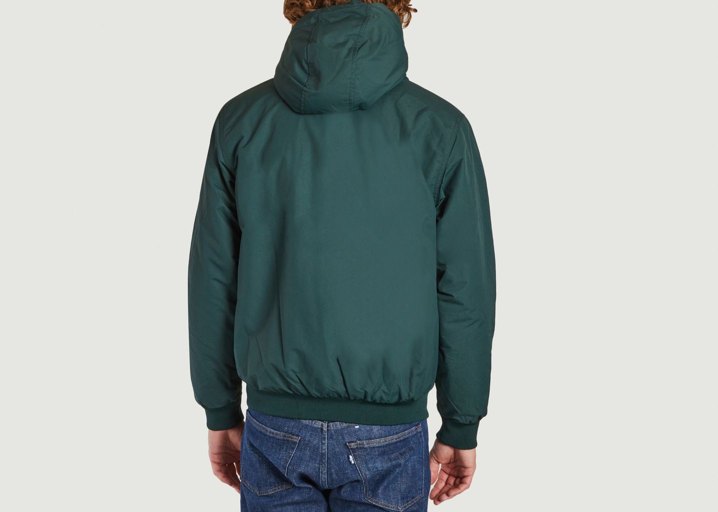 Veste à Capuche Isthmus - Patagonia