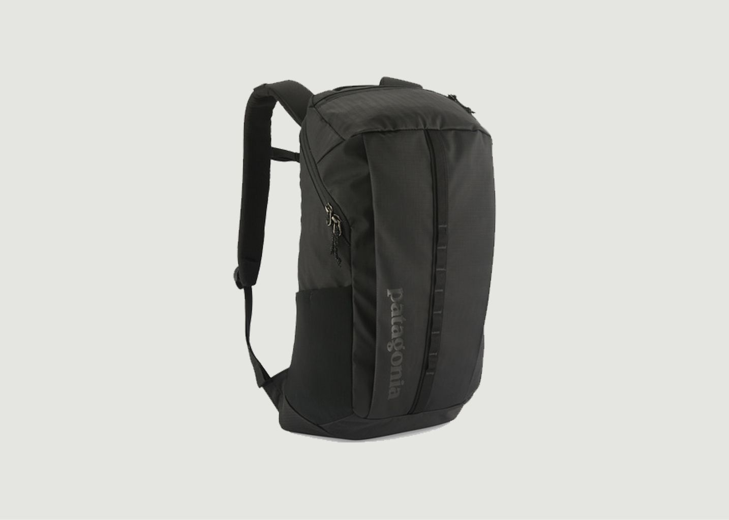 Black Hole Pack 25L backpack - Patagonia