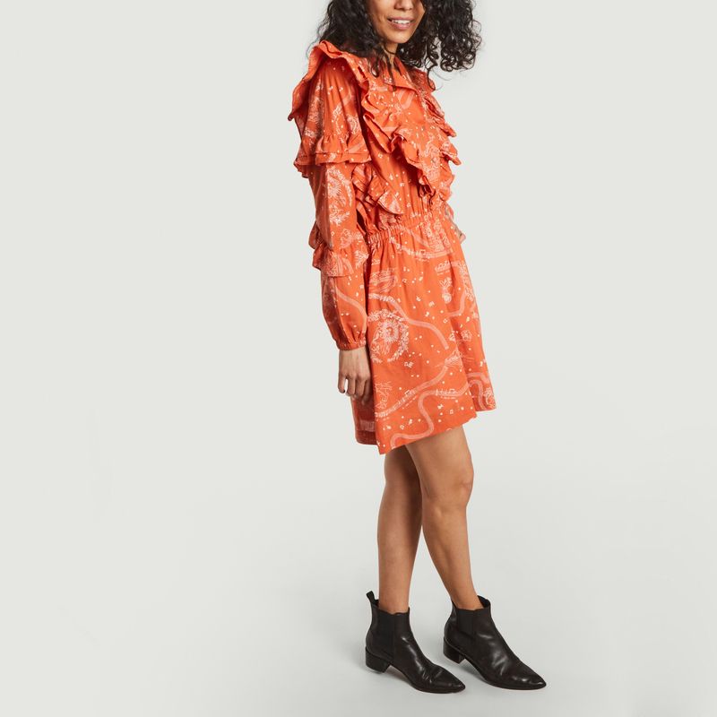 Daily Lucio dress in printed flamed cotton - Roseanna